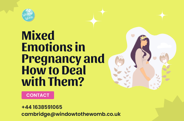 Mixed Emotions in Pregnancy and How to Deal with Them?